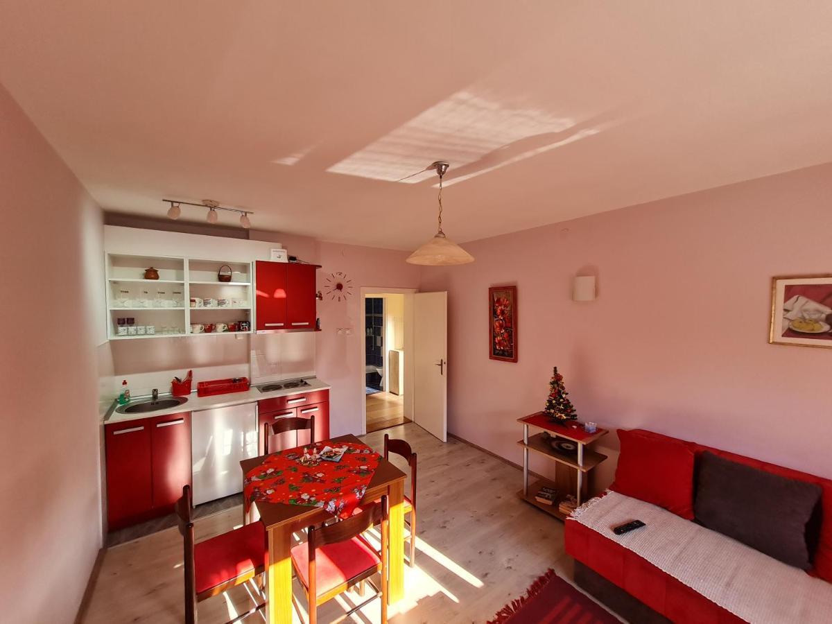 Apartman "Nina" Soko Banja Esterno foto