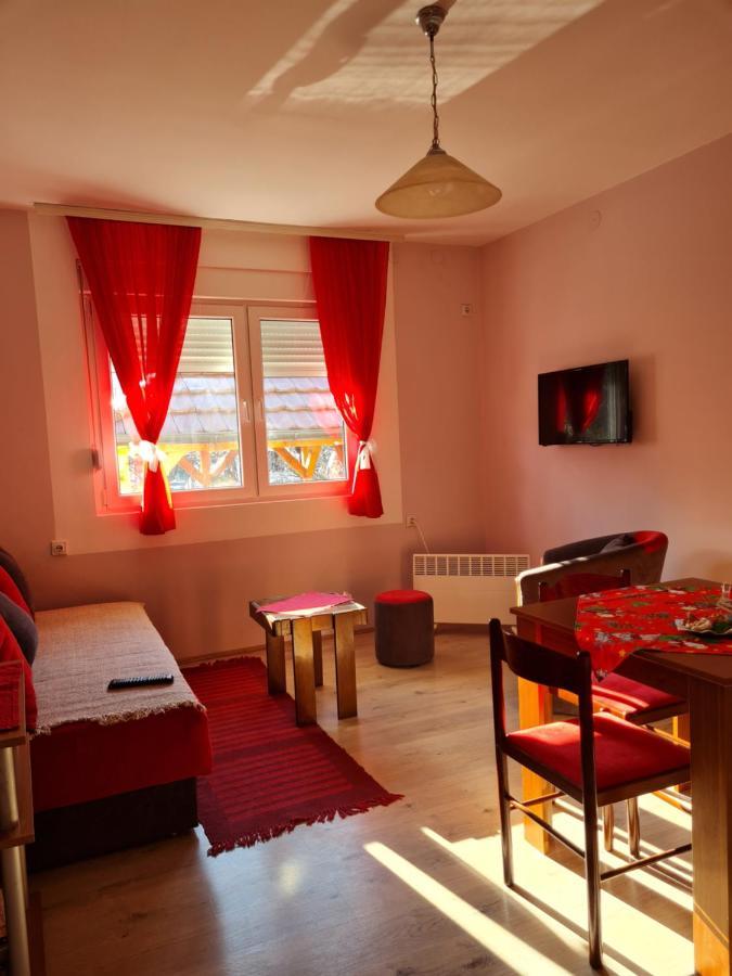 Apartman "Nina" Soko Banja Esterno foto